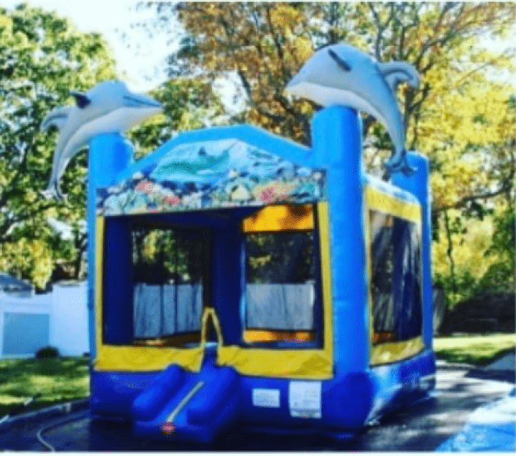 Dolphin Bounce House