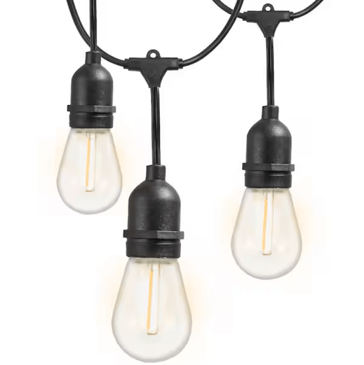 Edison Lights